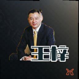 王梓